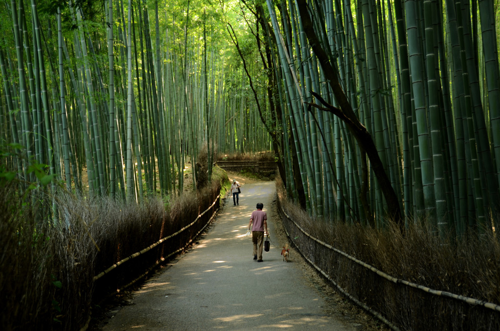 嵐山竹林