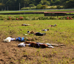 案山子殺人事件