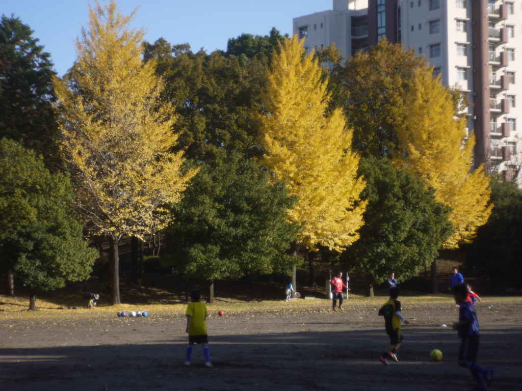 銀杏の下の大志