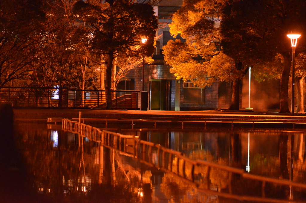 公園・夜の輝き