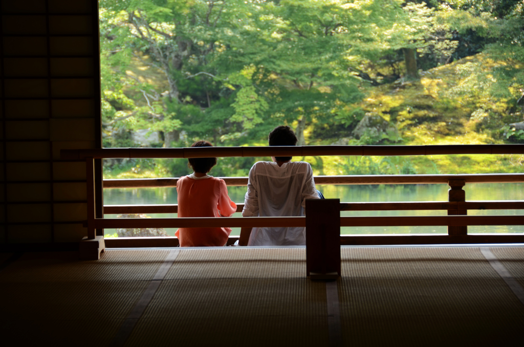 風景を独占