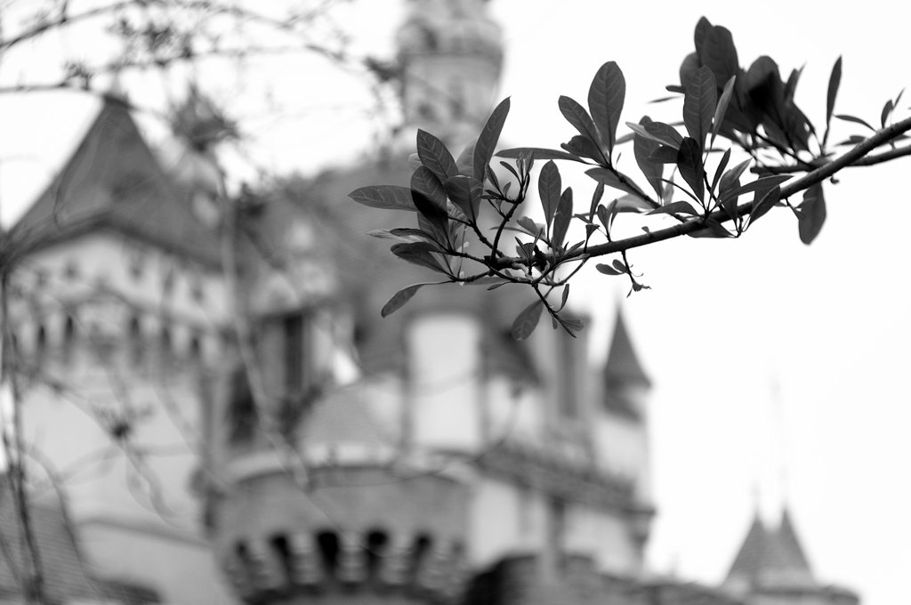 CASTLE...
