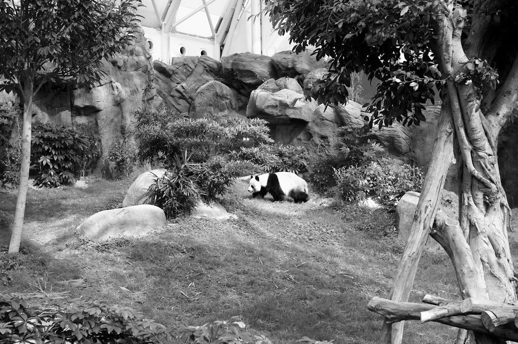 これこそmonochrome...
