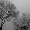 A foggy day