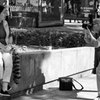 いつかその日がくる...