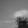 空中庭園