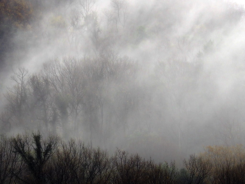 霧幻～冬の章Ⅱ～