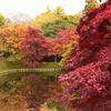 壕と紅葉