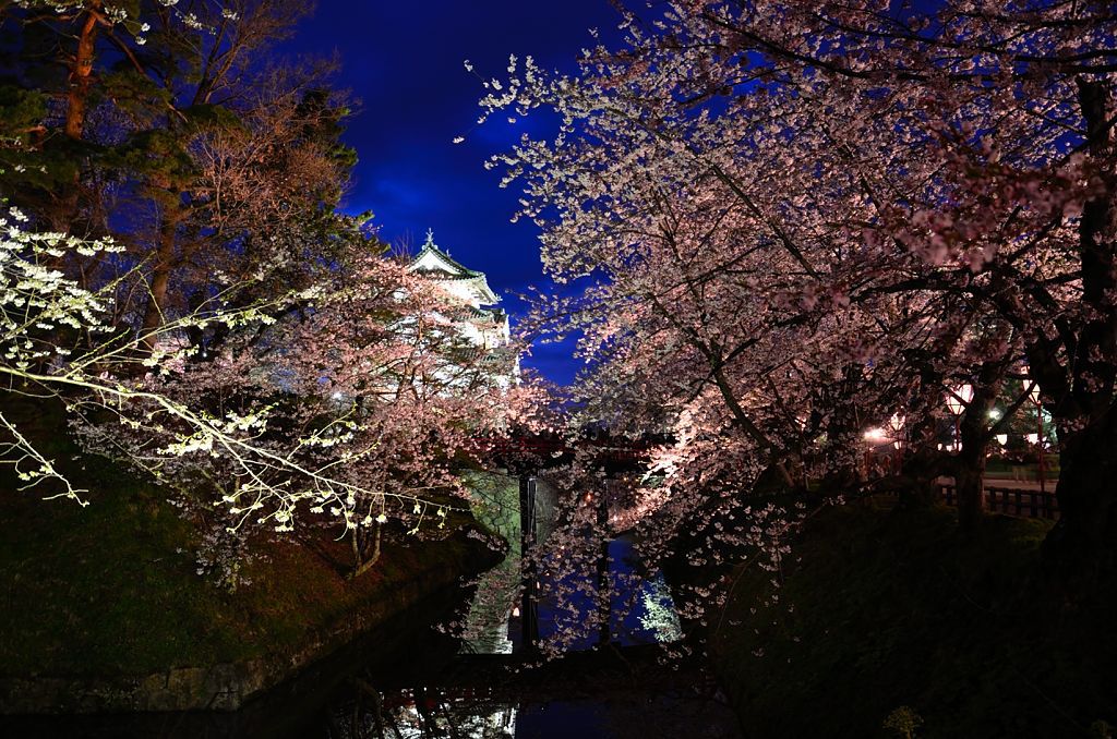 弘前城公園　