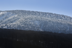 雪化粧