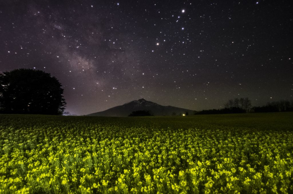 菜の花畑と天の川2