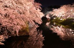 夜桜　弘前城公園