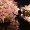 夜桜　弘前城公園
