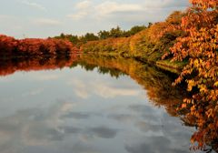 弘前城公園　西堀　秋