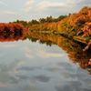 弘前城公園　西堀　秋