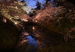 弘前城公園　内濠