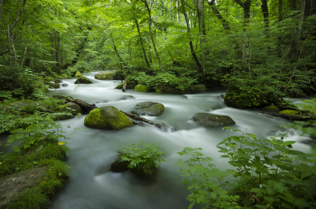 癒しのstream