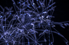 Fireworks3.4