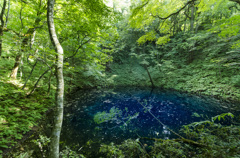 blue＆green