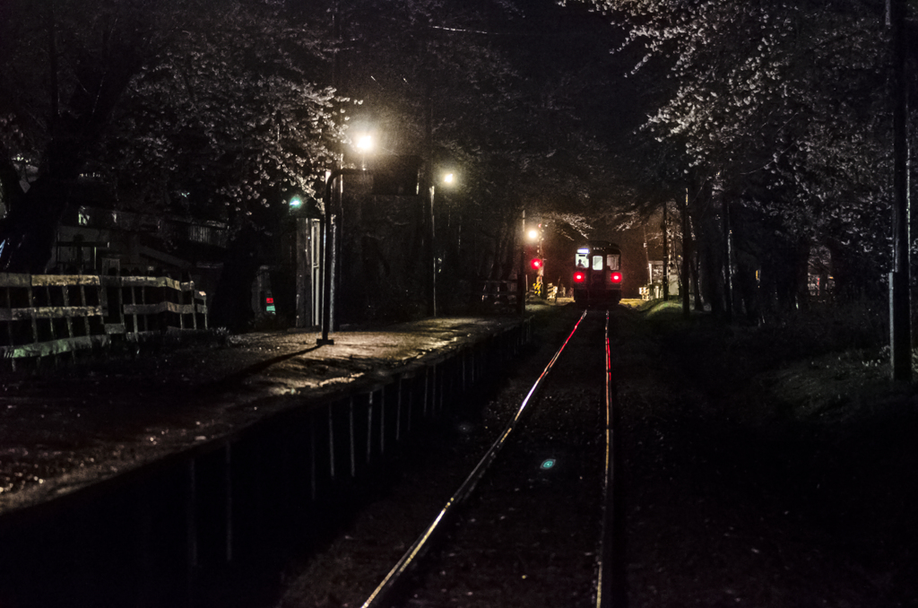 雨の津軽鉄道