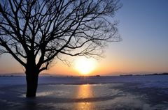 湖氷を照らす