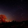 ミコパーの夜
