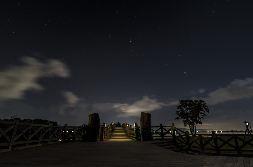 望月の夜