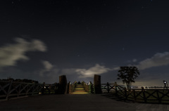 望月の夜