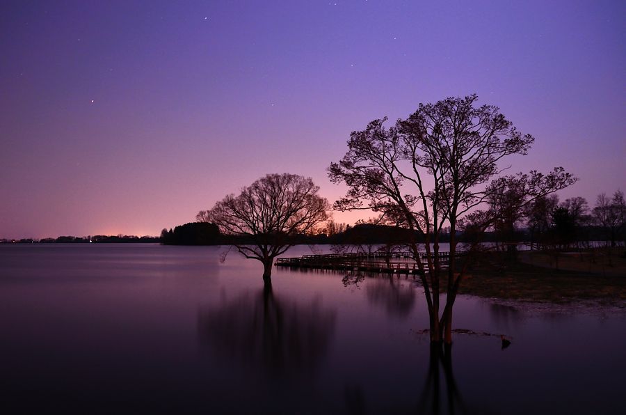 夜の水辺