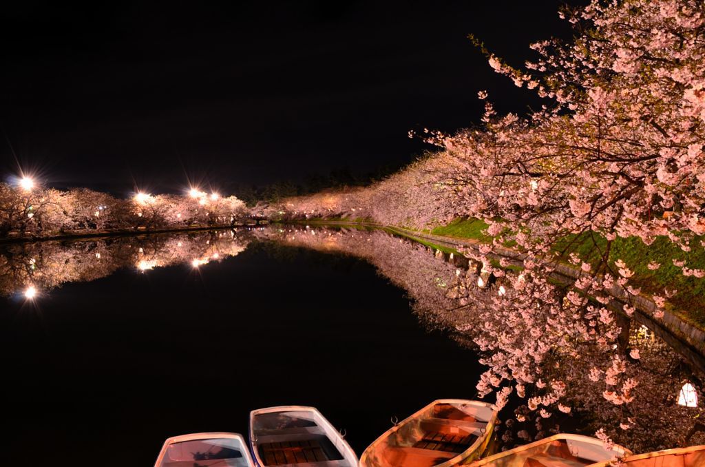西濠の夜桜