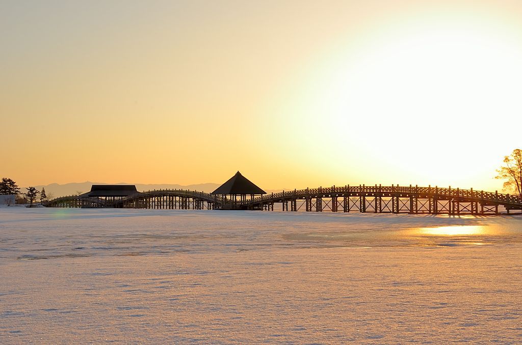 輝く雪原