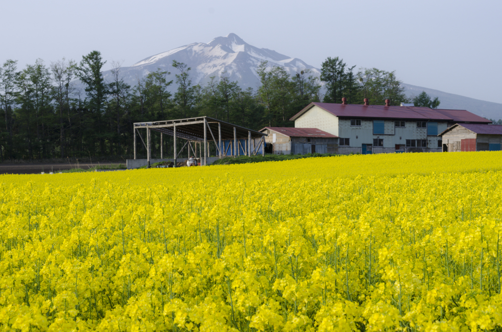 岩木山と