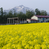 岩木山と