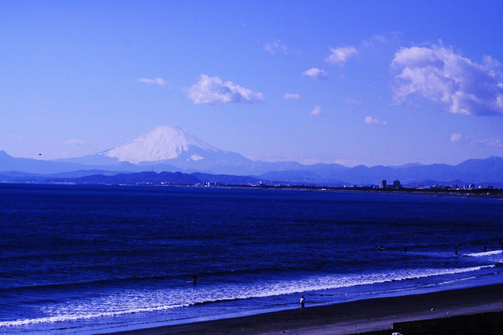 江の島水族館13