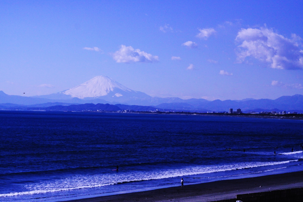 江の島水族館13