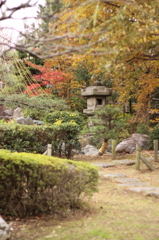ぷち日本庭園