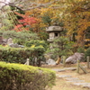 ぷち日本庭園