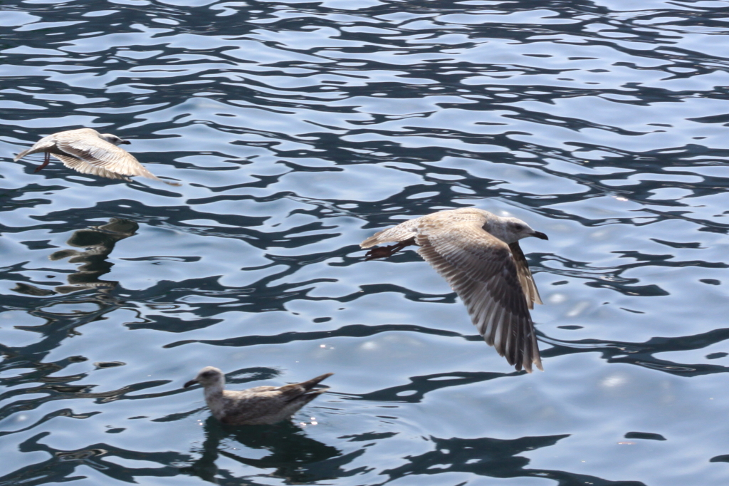 Take Off #2