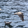 Take Off #2