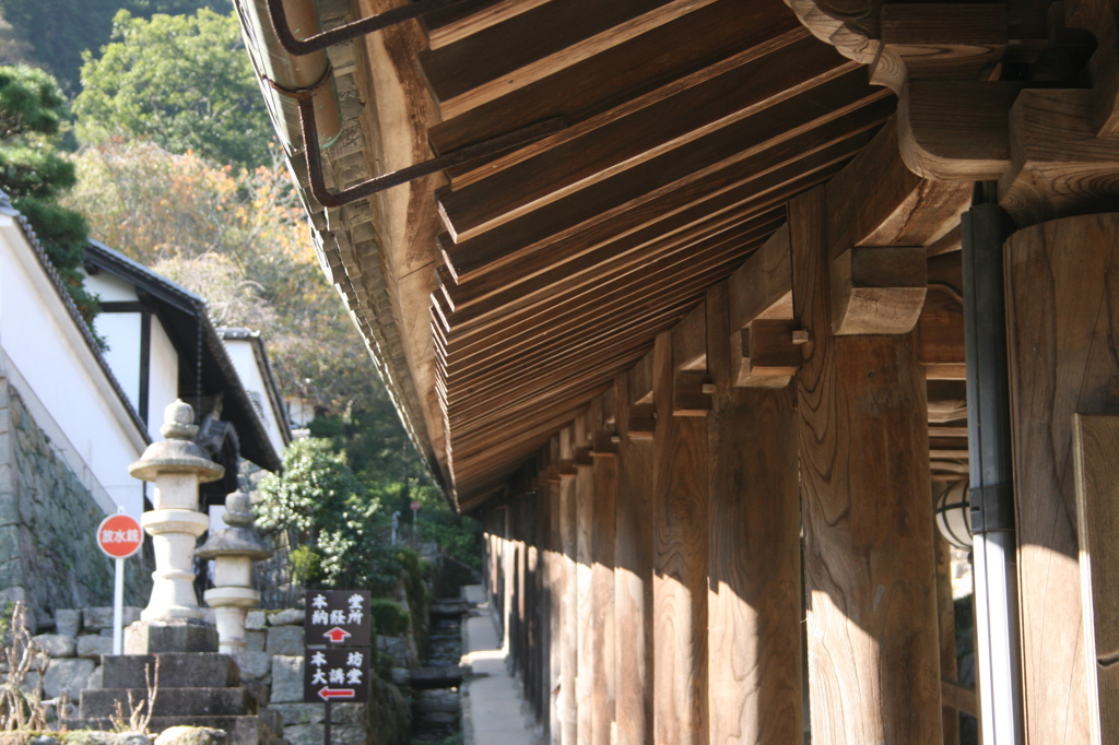 長谷寺#1