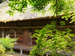 P1030056