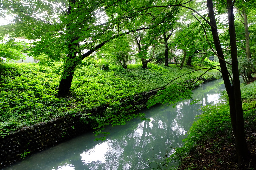 玉川上水