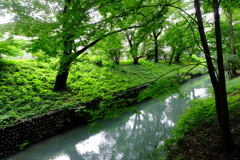 玉川上水