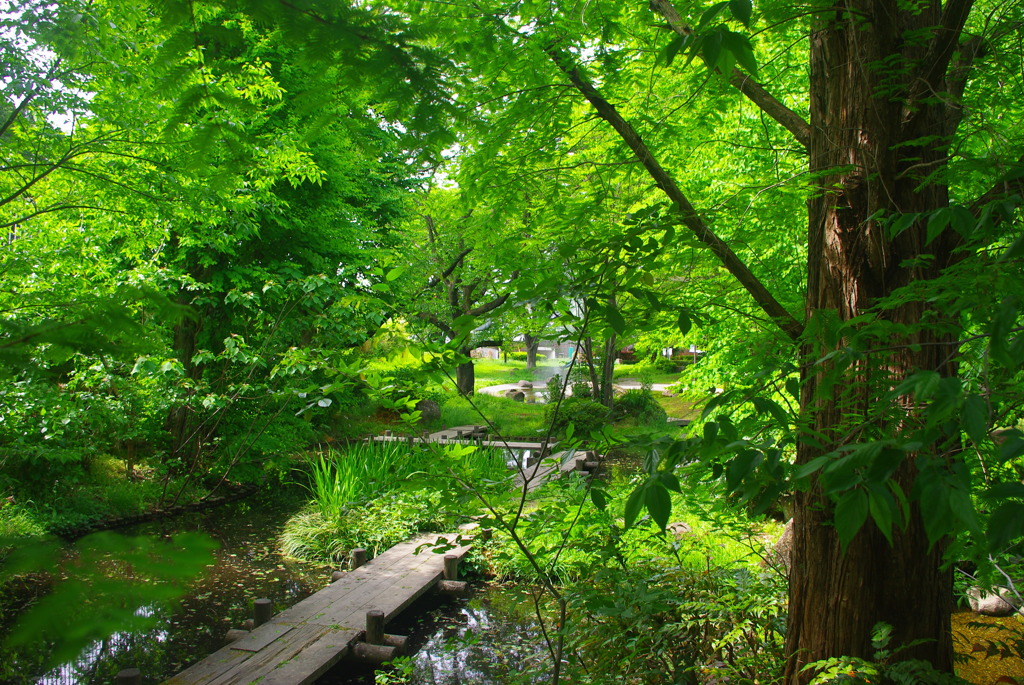 水辺の風景