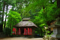 IMGP7738