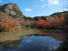 秋色に染まる庭園
