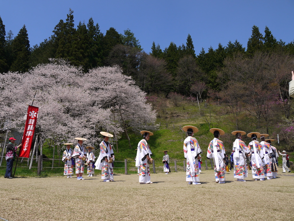 飛騨一ノ宮　臥龍桜6