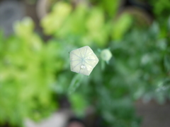 P1150404