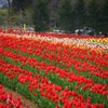 牧歌の里 - 6