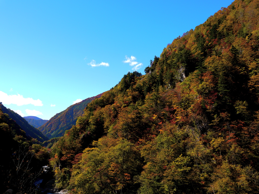 白山スーパー林道2